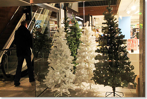 Knstliche Weihnachtsbume in einem Schaufenster von Kotka.